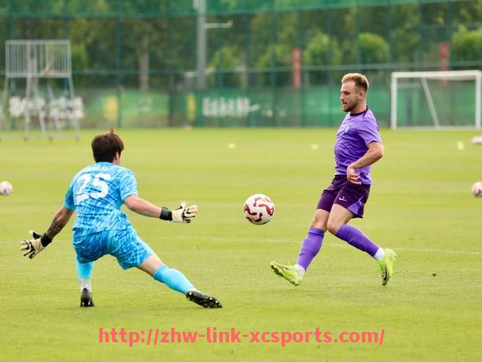 杏彩体育-法甲俱乐部商业合作模式及品牌价值提升策略