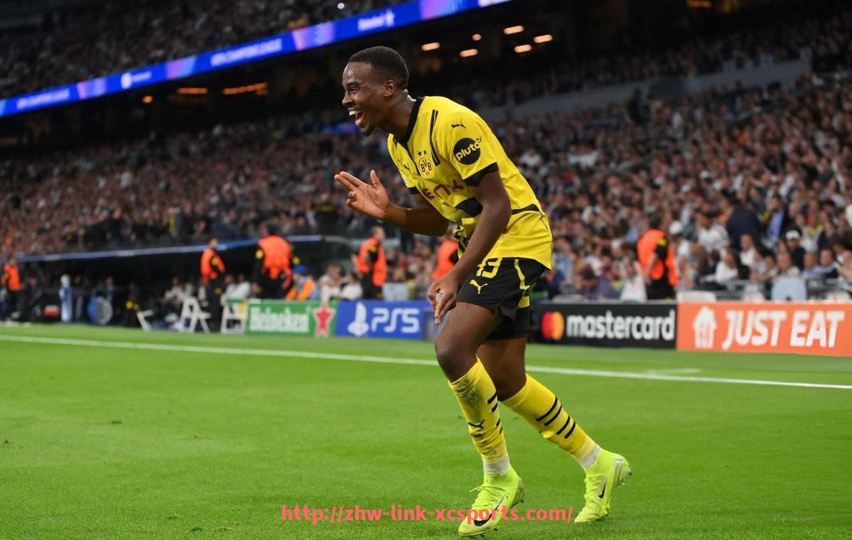 杏彩体育-世俱杯主办城市球迷互动活动安排及提升赛事氛围方案