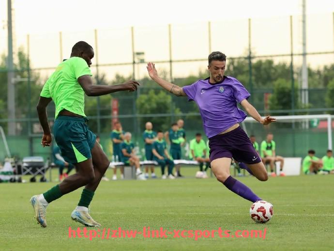 杏彩体育-世俱杯商业合作风险控制体系构建与运行机制