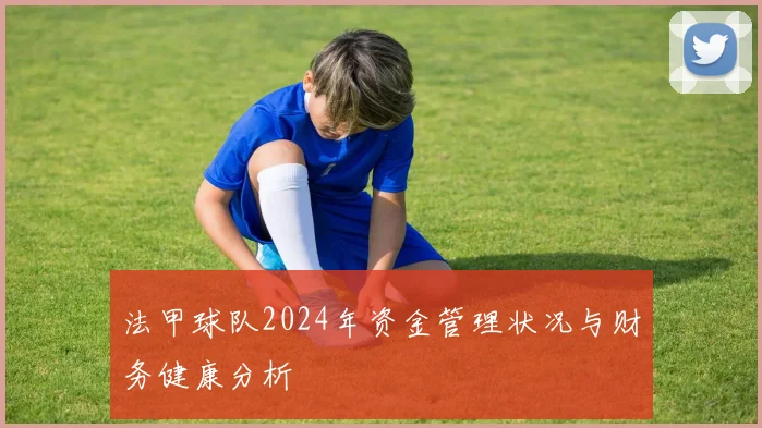 法甲球队2024年资金管理状况与财务健康分析