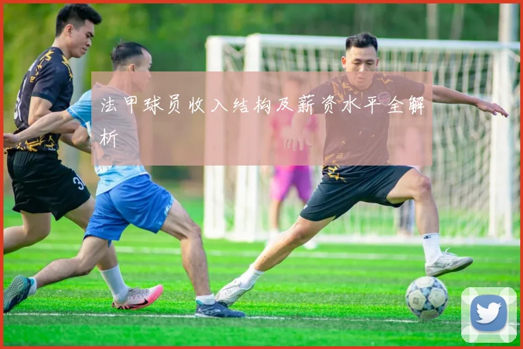 法甲球员收入结构及薪资水平全解析