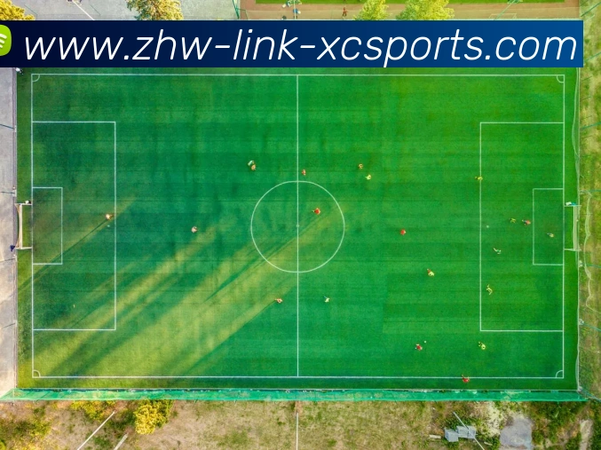 杏彩体育发展历程