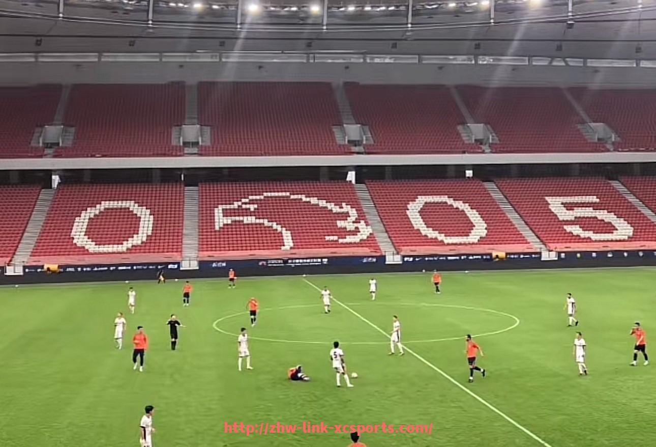 杏彩体育-法甲转会市场发展趋势及球员流动概览